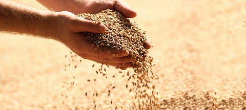 تصویر 3 از خرید و قیمت مکمل غذایی دام و طیور + فروش عمده